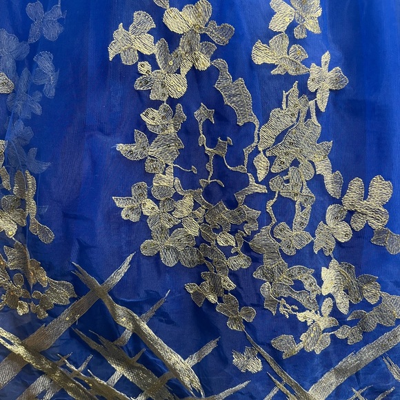 Quinceanera/Prom dress - Picture 5 of 10